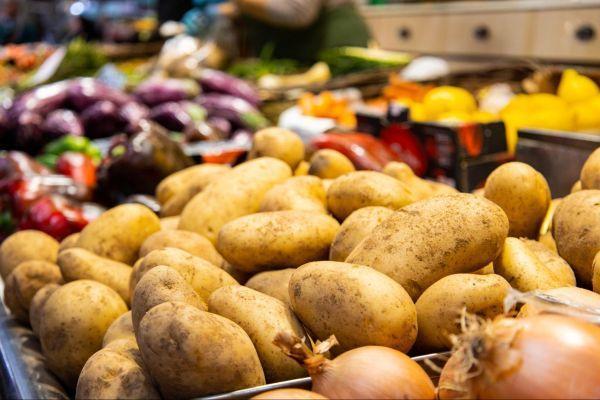 sustainability agriculture, agriculture food costs, sustainable farming expenses, impact of sustainable agriculture, food production costs, eco-friendly farming prices, sustainable farming practices, organic farming costs, local agriculture sustainability, agricultural sustainability effects